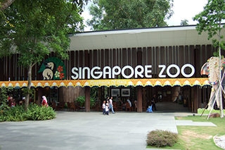 シンガポール動物園への行き方